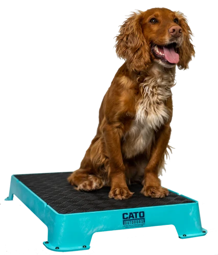 Teal_1024x1024.png.webp