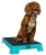 Teal_1024x1024.png.webp