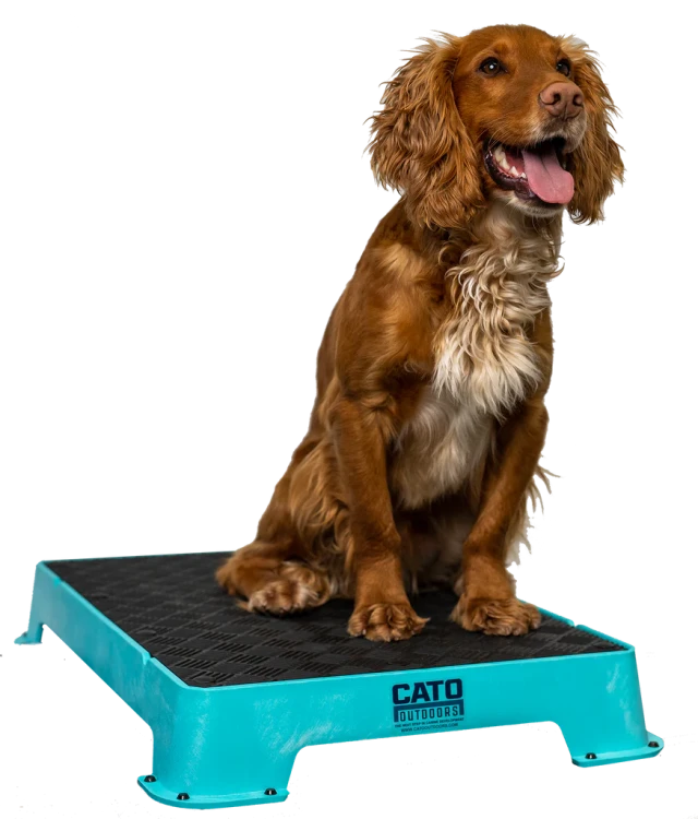 Teal_1024x1024.png.webp
