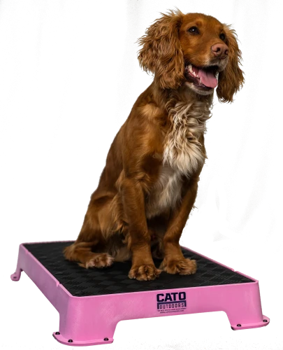 Pink_1296x.png.webp
