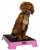Pink_1296x.png.webp