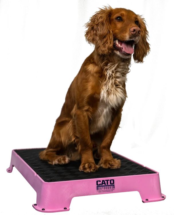 Pink_1296x.png.webp