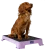 Lilac_rubber1867-Enhanced-NR_1024x1024.png.webp