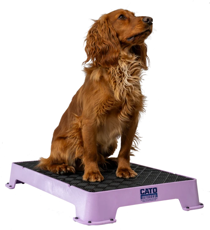 Lilac_rubber1867-Enhanced-NR_1024x1024.png.webp