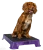 Purple_1024x1024.png.webp