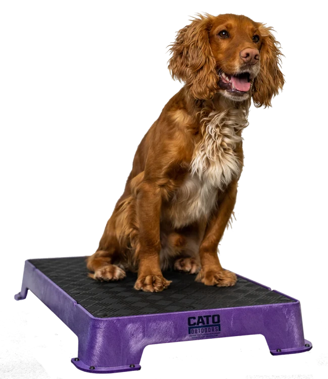 Purple_1024x1024.png.webp