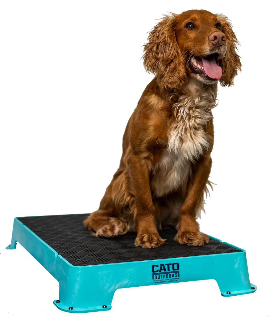 Teal_1024x1024.png.webp