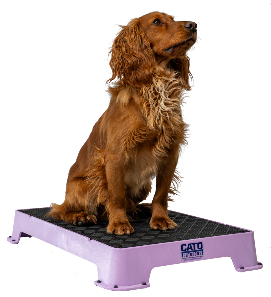 Lilac_rubber1867-Enhanced-NR_1024x1024.png.webp
