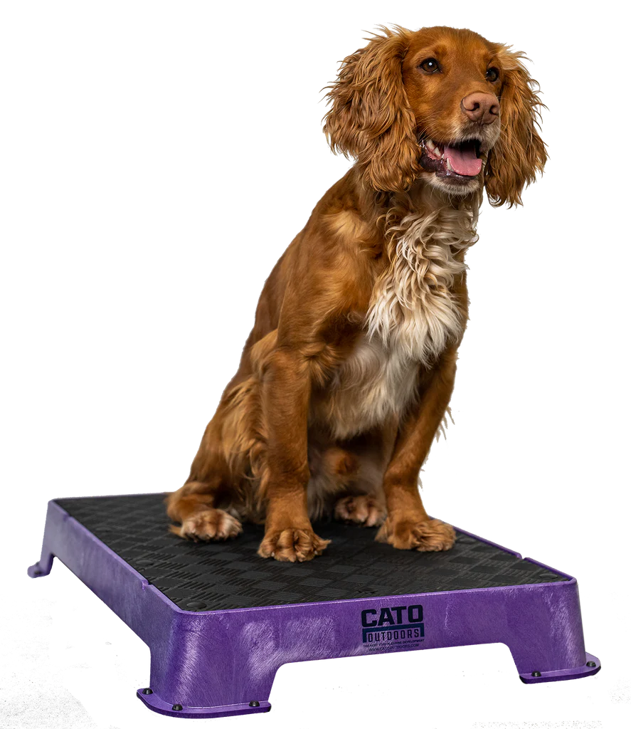 Purple_1024x1024.png.webp
